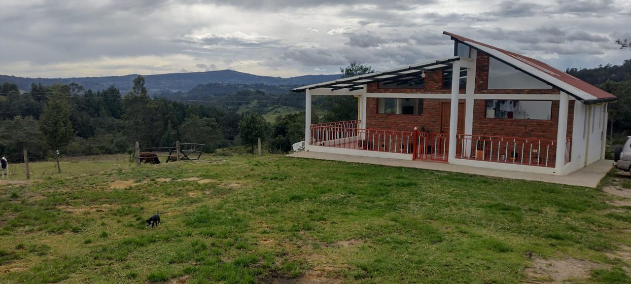Finca de 13 fanegadas con casa nueva en Chiquinquirá — foto 9