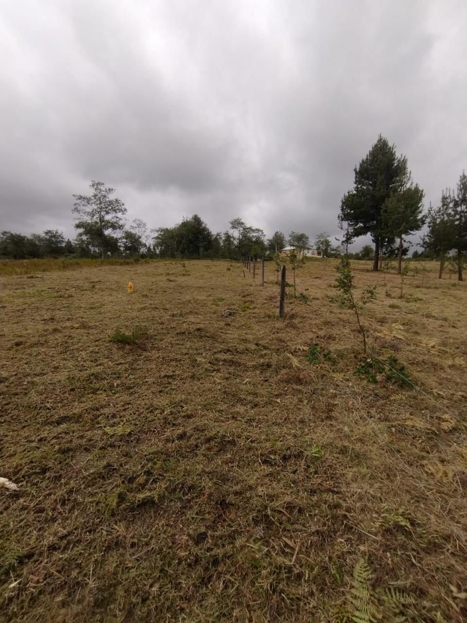 Finca de 13 fanegadas con casa nueva en Chiquinquirá — foto 14