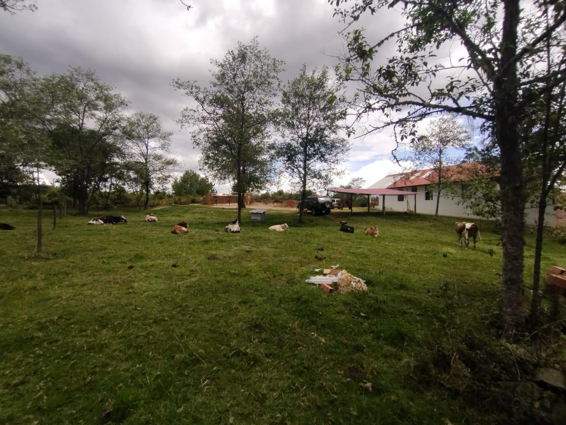 Finca de 13 fanegadas con casa nueva en Chiquinquirá — foto 18
