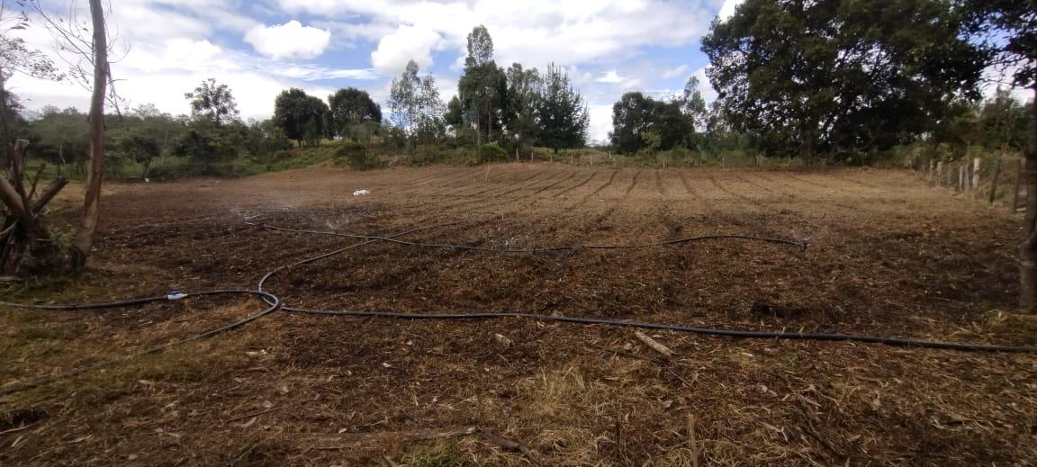Finca de 13 fanegadas con casa nueva en Chiquinquirá — foto 21