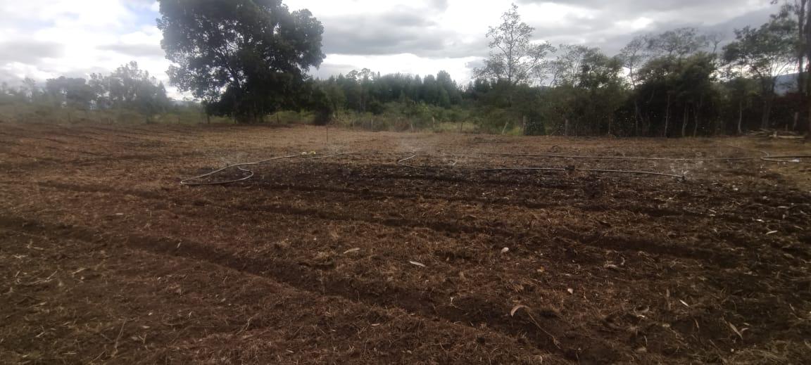 Finca de 13 fanegadas con casa nueva en Chiquinquirá — foto 22