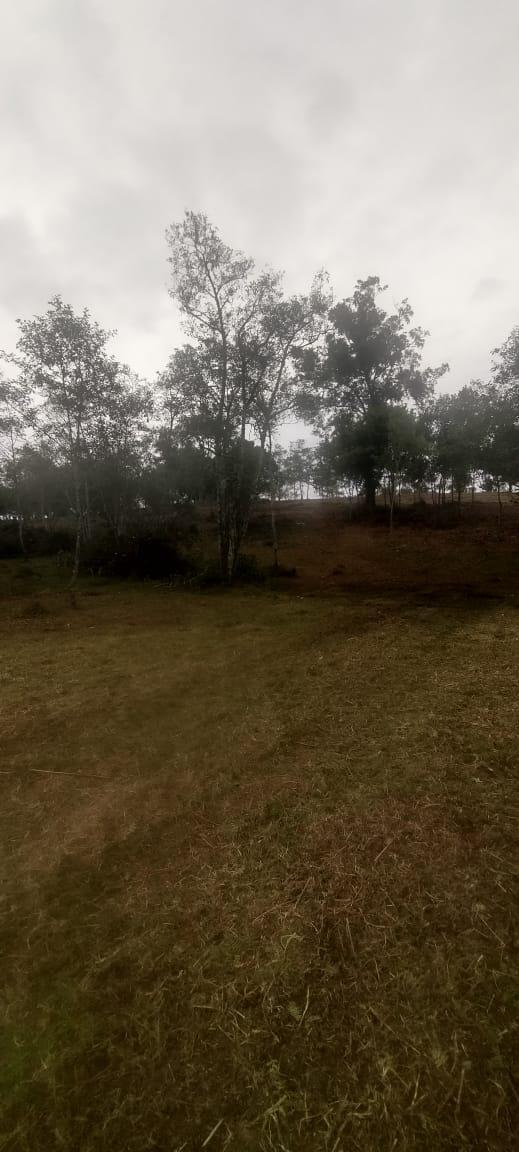 Finca de 13 fanegadas con casa nueva en Chiquinquirá — foto 23