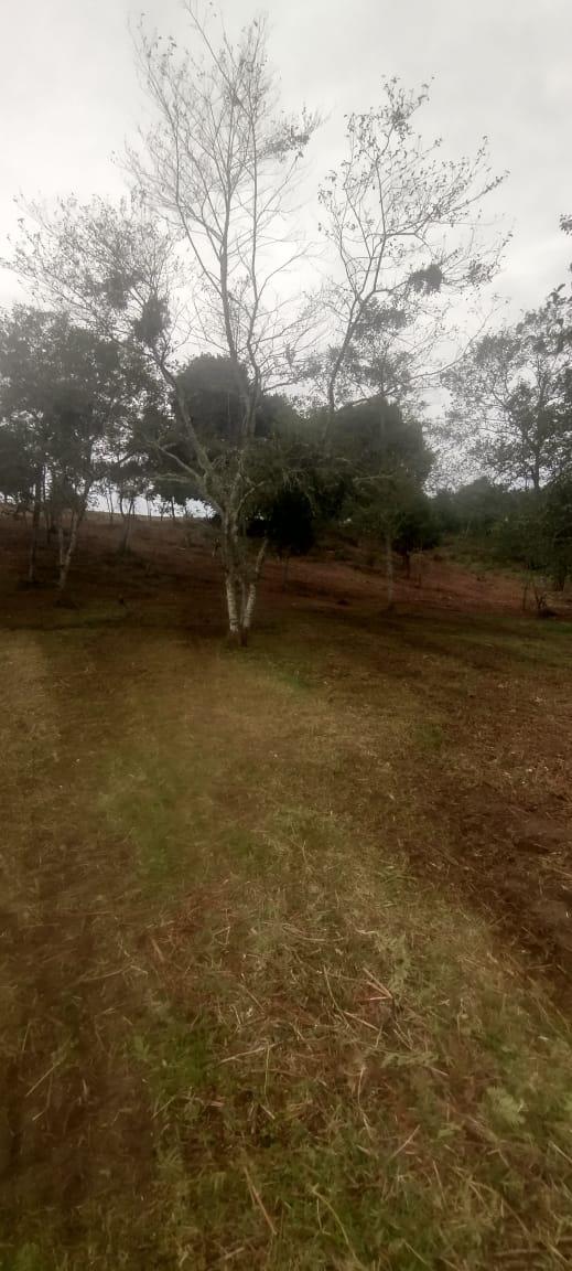 Finca de 13 fanegadas con casa nueva en Chiquinquirá — foto 24