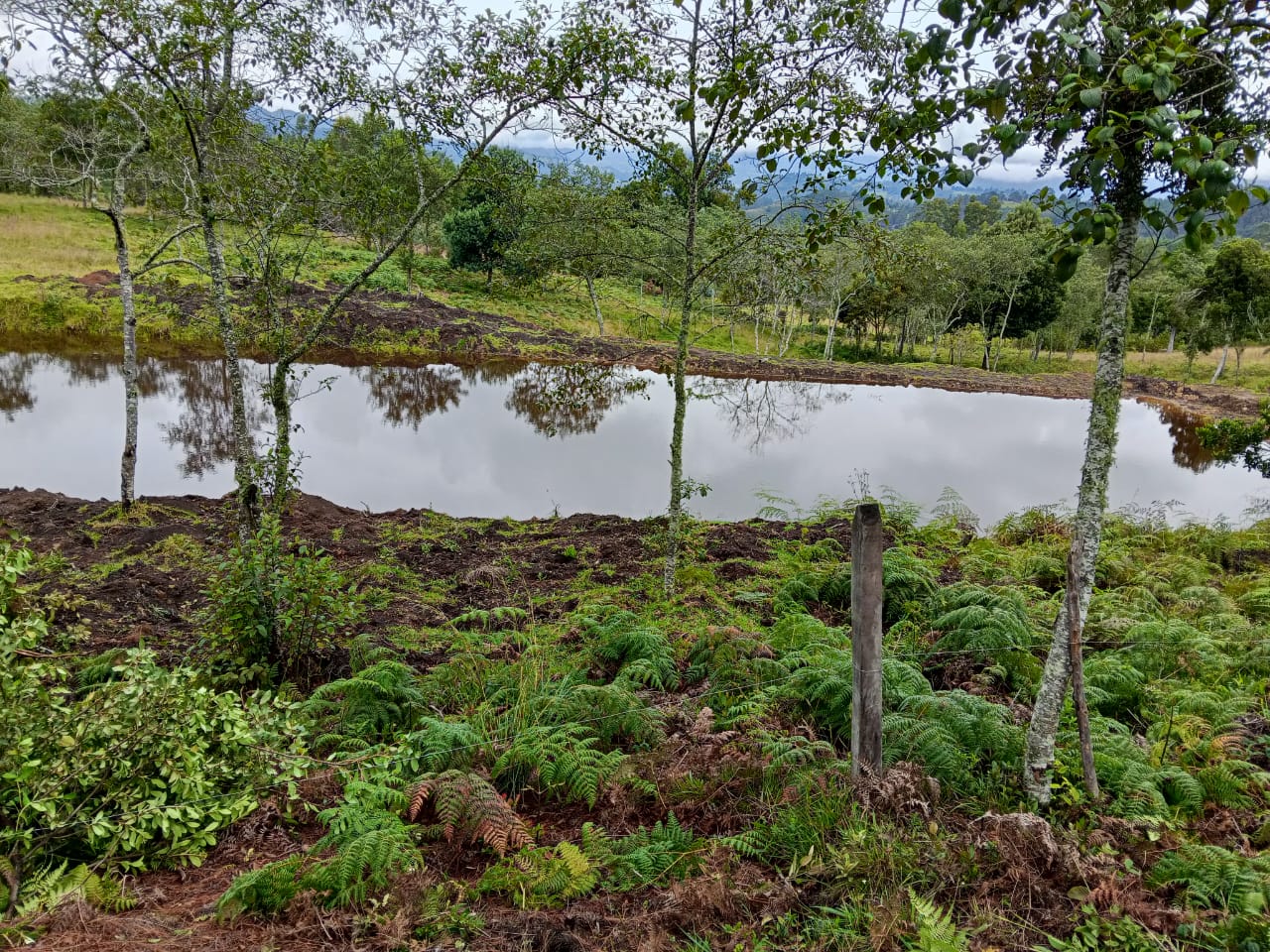 Finca de 13 fanegadas con casa nueva en Chiquinquirá — foto 26