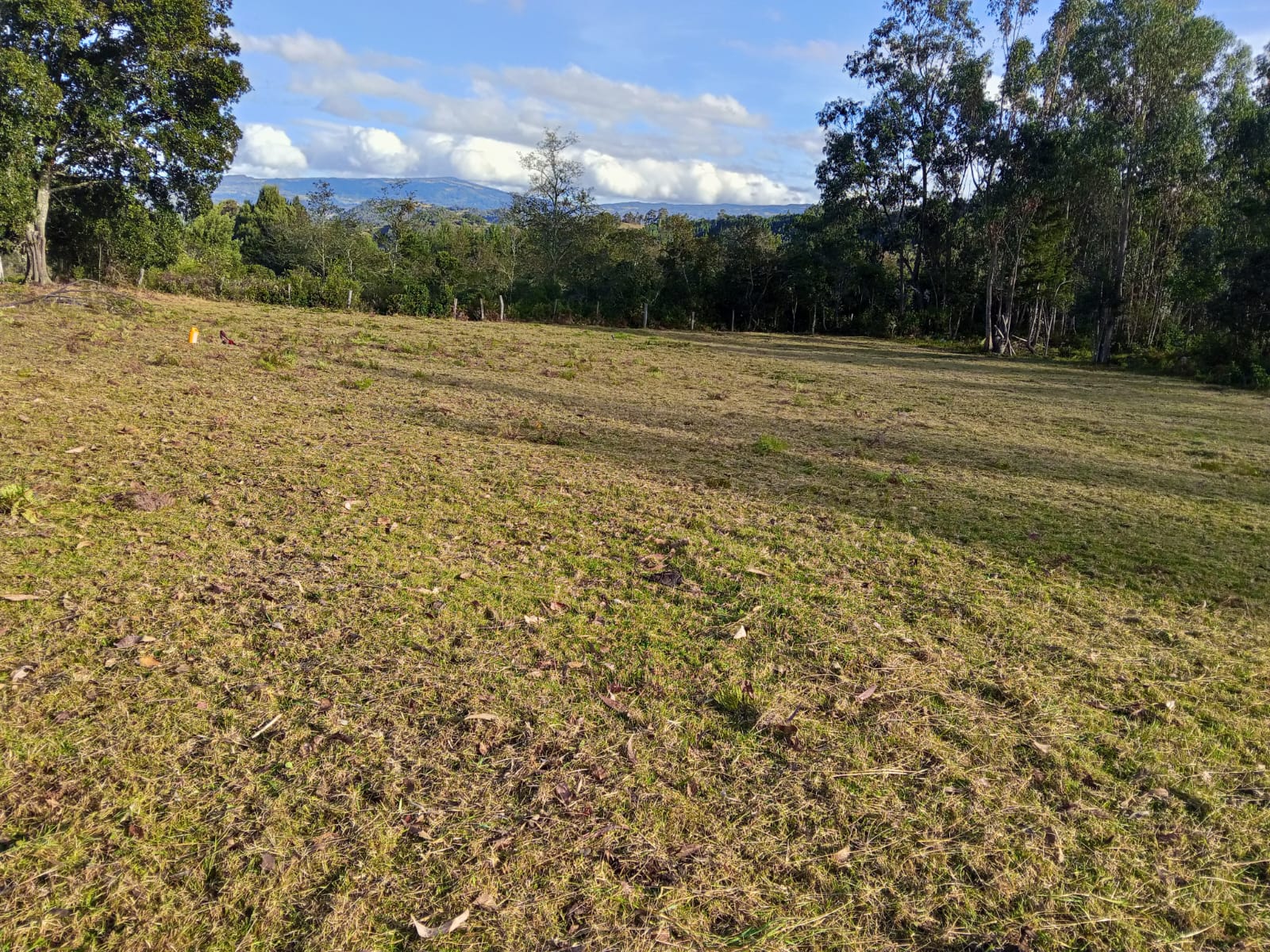 Finca de 13 fanegadas con casa nueva en Chiquinquirá — foto 27