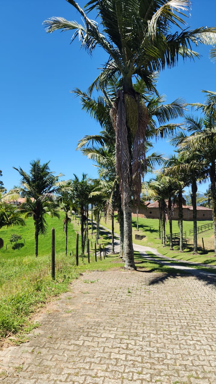 Finca en San Antonio de Pereira — foto 3