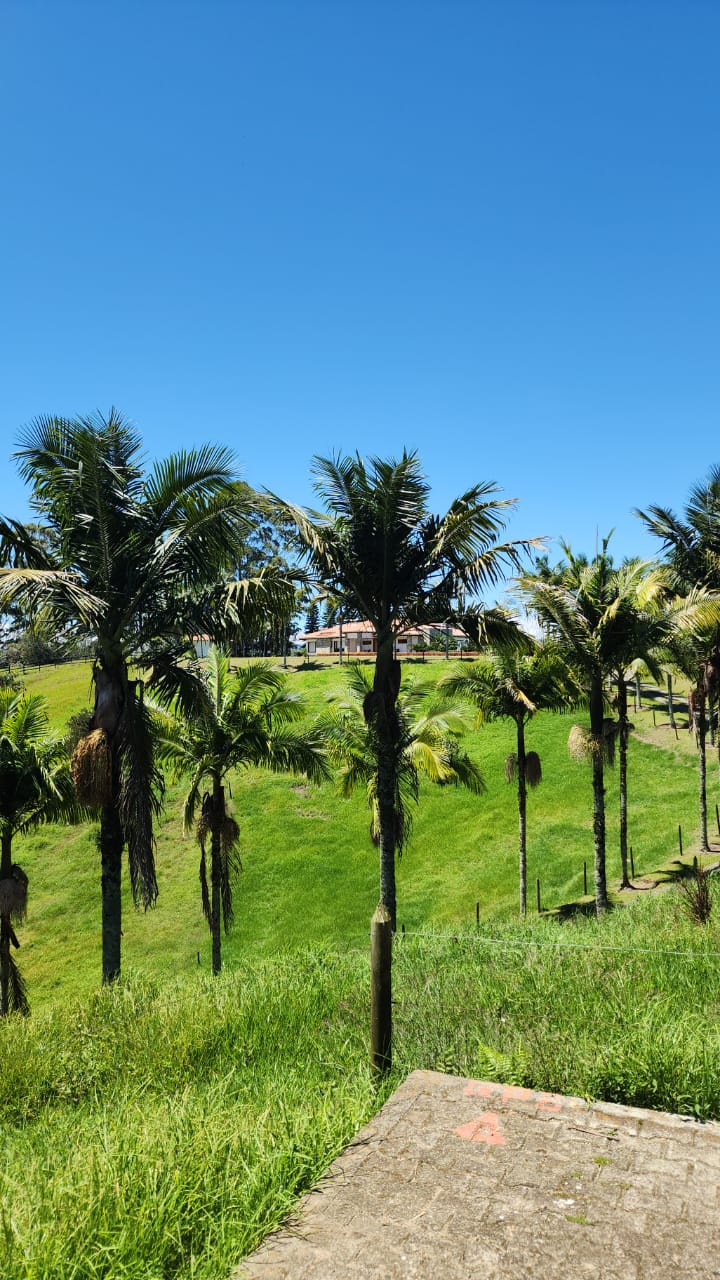 Finca en San Antonio de Pereira — foto 8