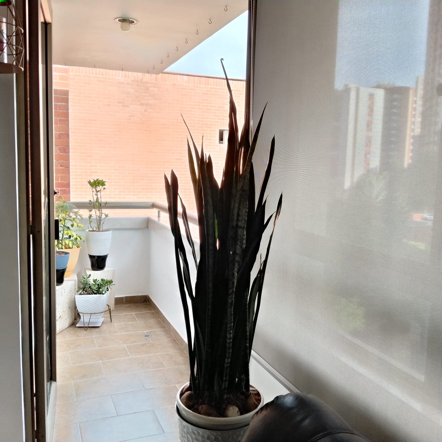Apartamento en Pilarica — foto 5
