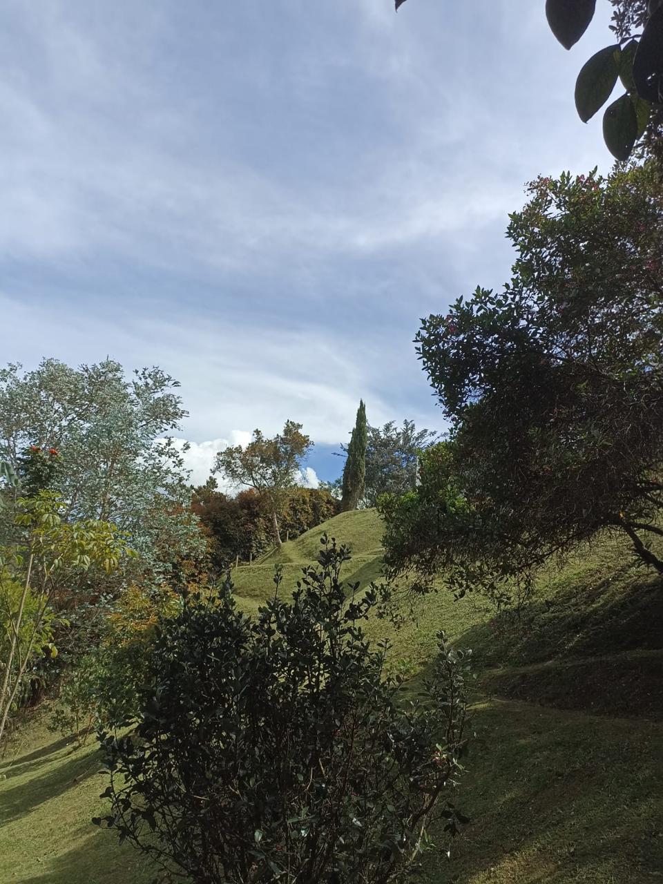 Hermosa finca en Guarne — foto 10