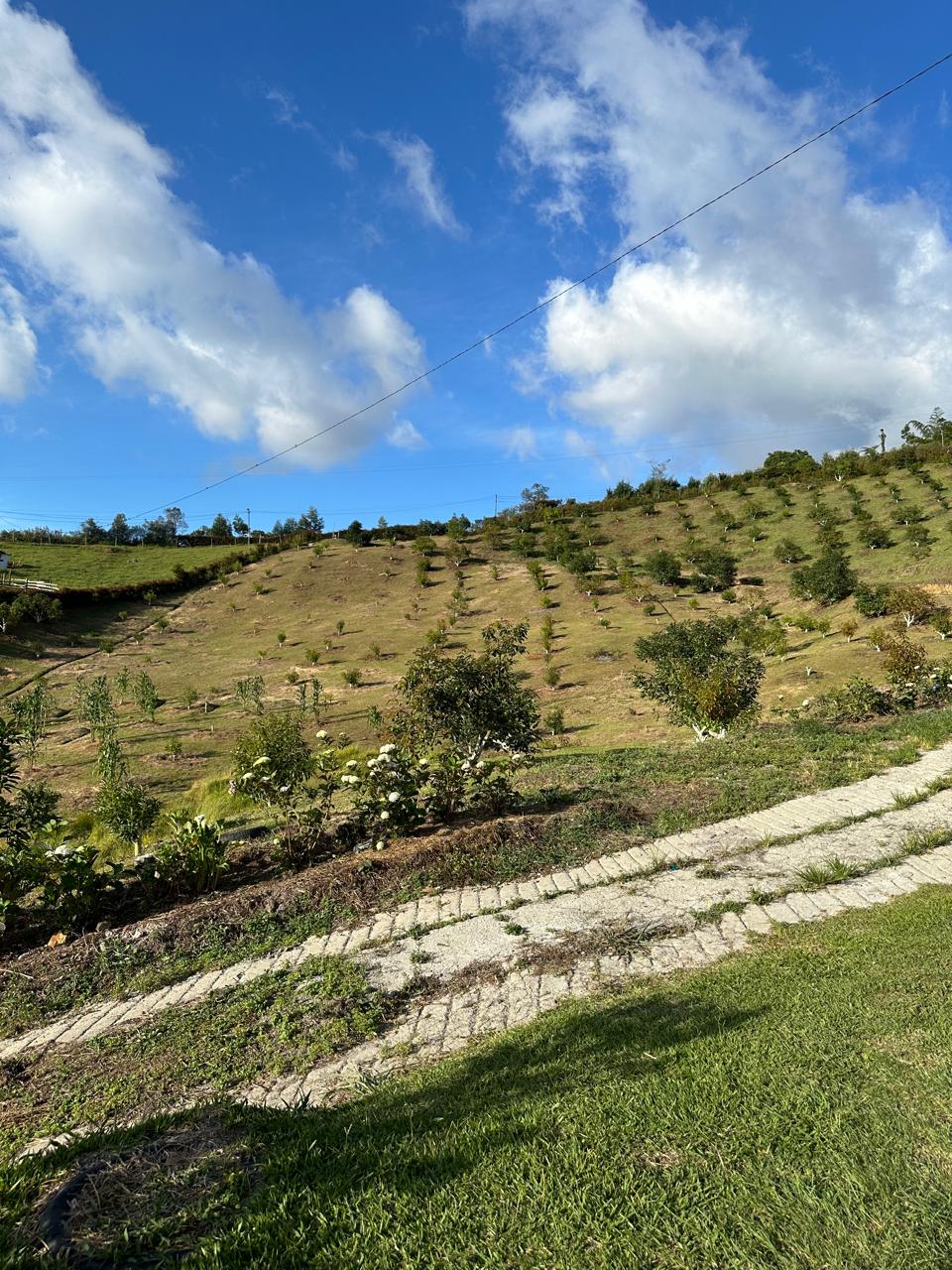 Finca de 100.000 m² en venta