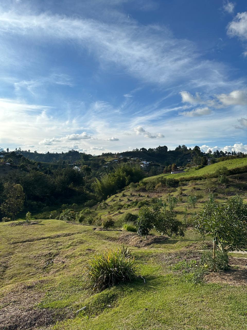 Finca de 100.000 m² en venta — foto 2