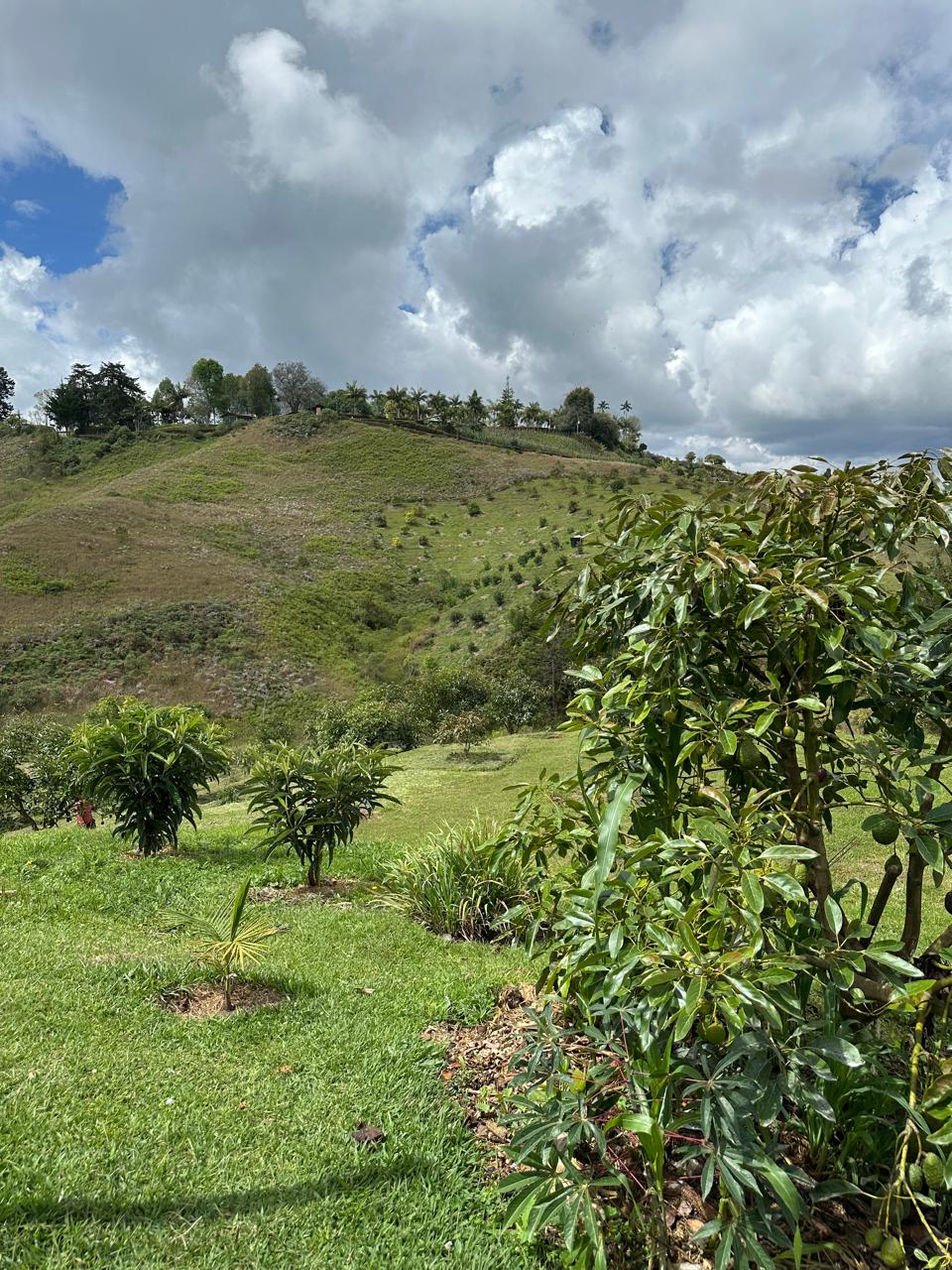 Finca de 100.000 m² en venta — foto 4