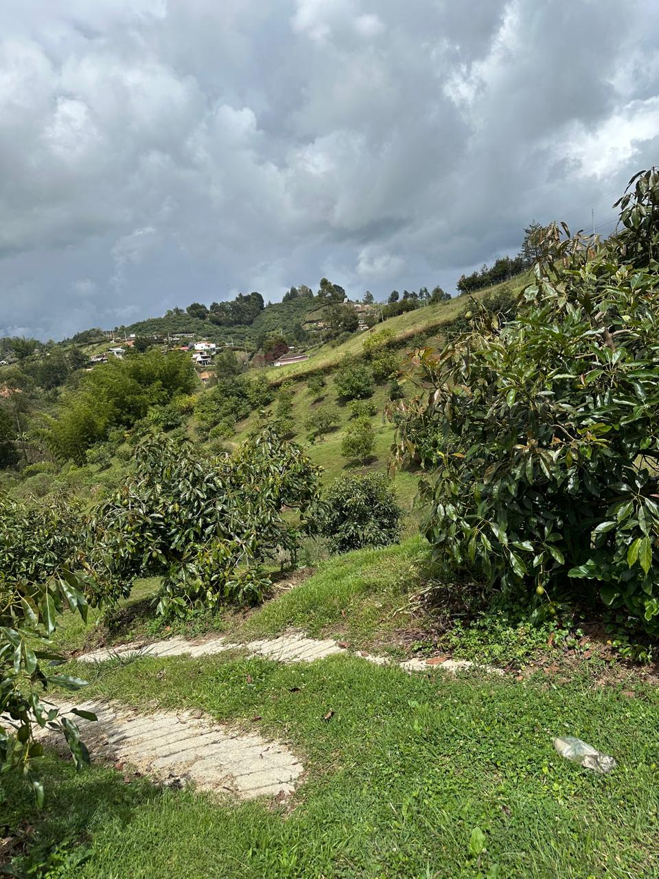 Finca de 100.000 m² en venta — foto 5