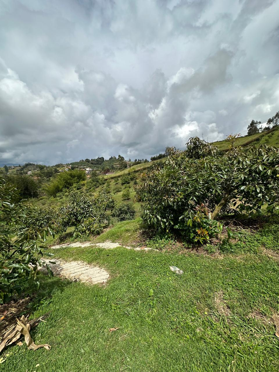 Finca de 100.000 m² en venta — foto 6